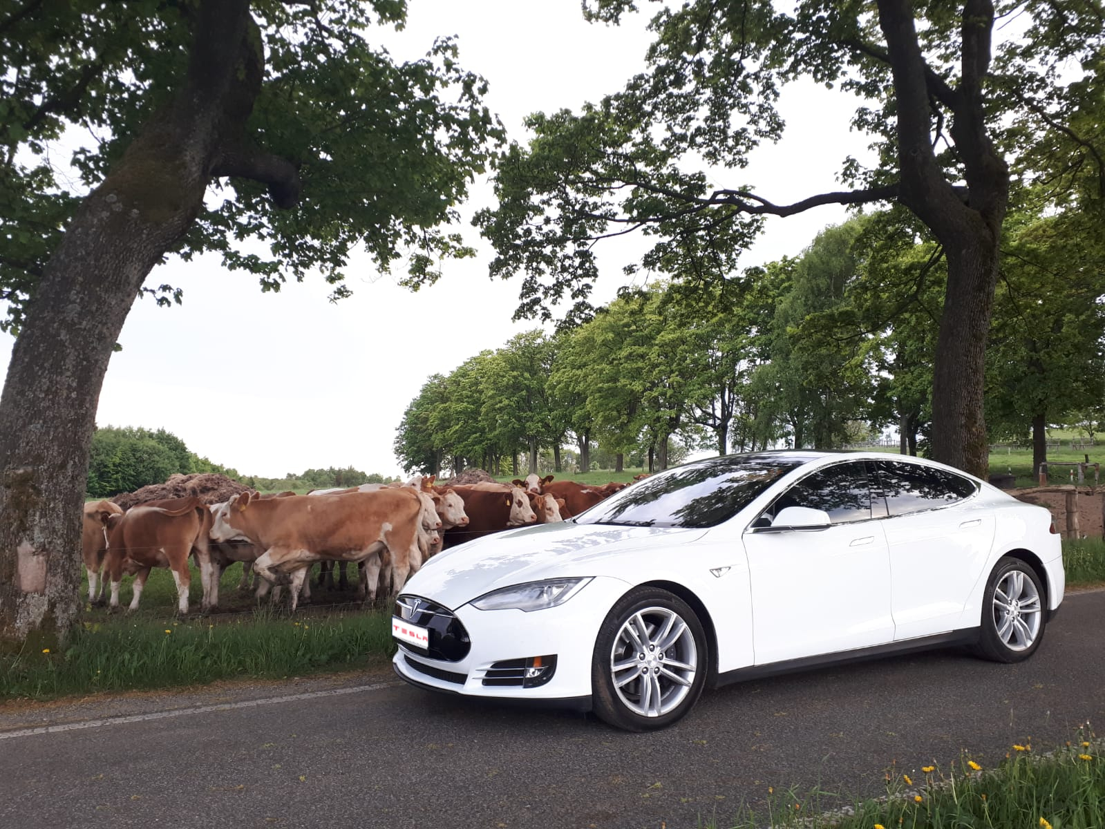 Tesla Model S na louce